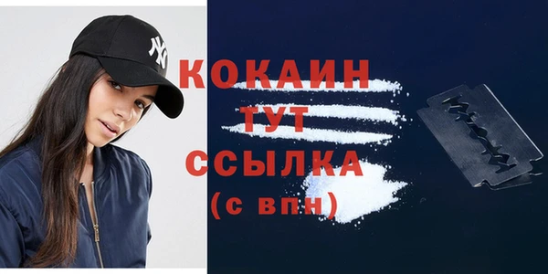 дмт Абаза