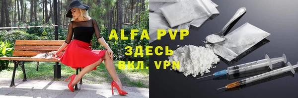 дмт Абаза