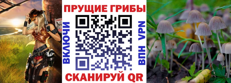 Псилоцибиновые грибы прущие грибы  как найти закладки  Сусуман 